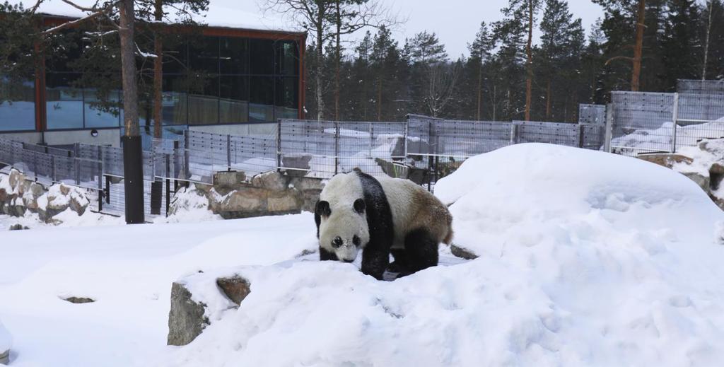 Ähtäri Zoo