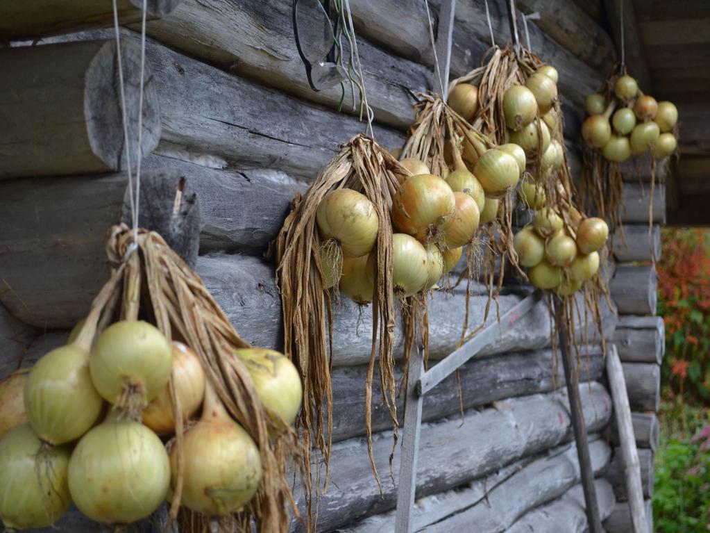 Suomen ruokamatkailun kärkituotteet Majatalosta majataloon yrttiretki Karjalainen ruokaretki Sieniretki Nuuksiossa Mustion Linnan kalaasit Parppeinpirtin karhunpeijaiset