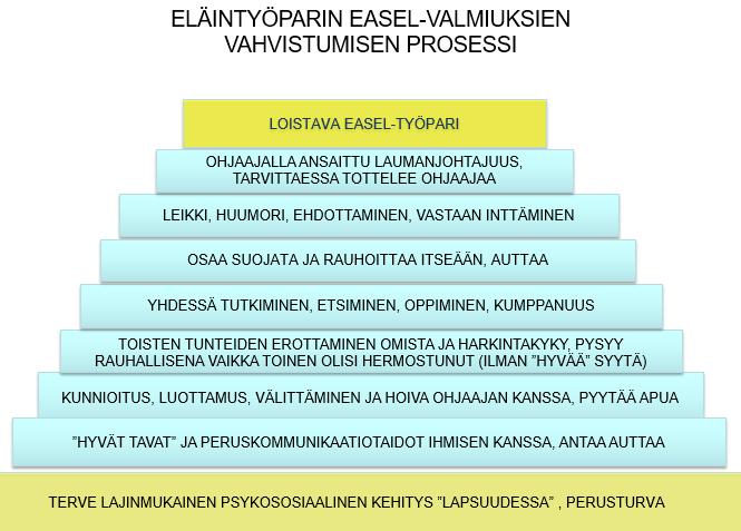 31 4.3 Hevosen valinta Hevonen ei välttämättä ole ensimmäinen työpari, joka tulee mieleen, kun puhutaan itsetuntemuksen ja ihmisten välisten vuorovaikutus- ja johtamistaitojen kehittämisestä.