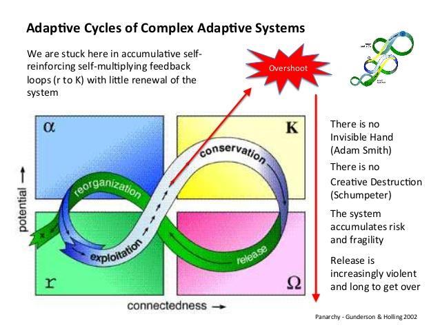 C. S. Holling. Understanding the Complexity of Economic, Ecological, and Social Systems.