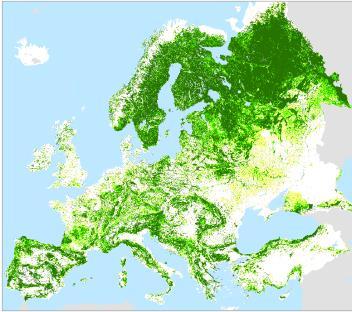 Biotalous Euroopassa Koko Euroopassa metsä on tärkein