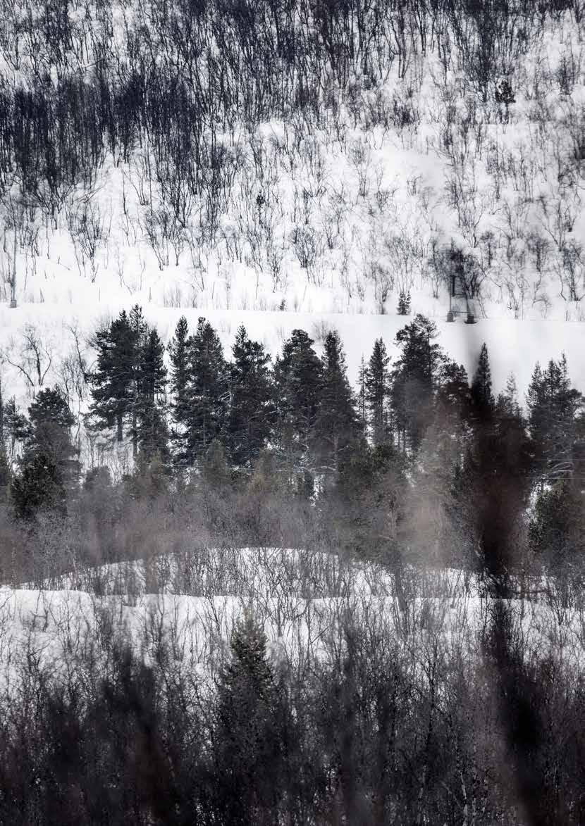 ASIAKASPALVELUYKSIKKÖ VANTAA Myynti ja markkinointi, 09 274 69740 Tekninen tuki ja huolto, 09 274 69745, 09 27469755 NIBE Energy Systems Oy Juurakkotie 3, PL 257 01510