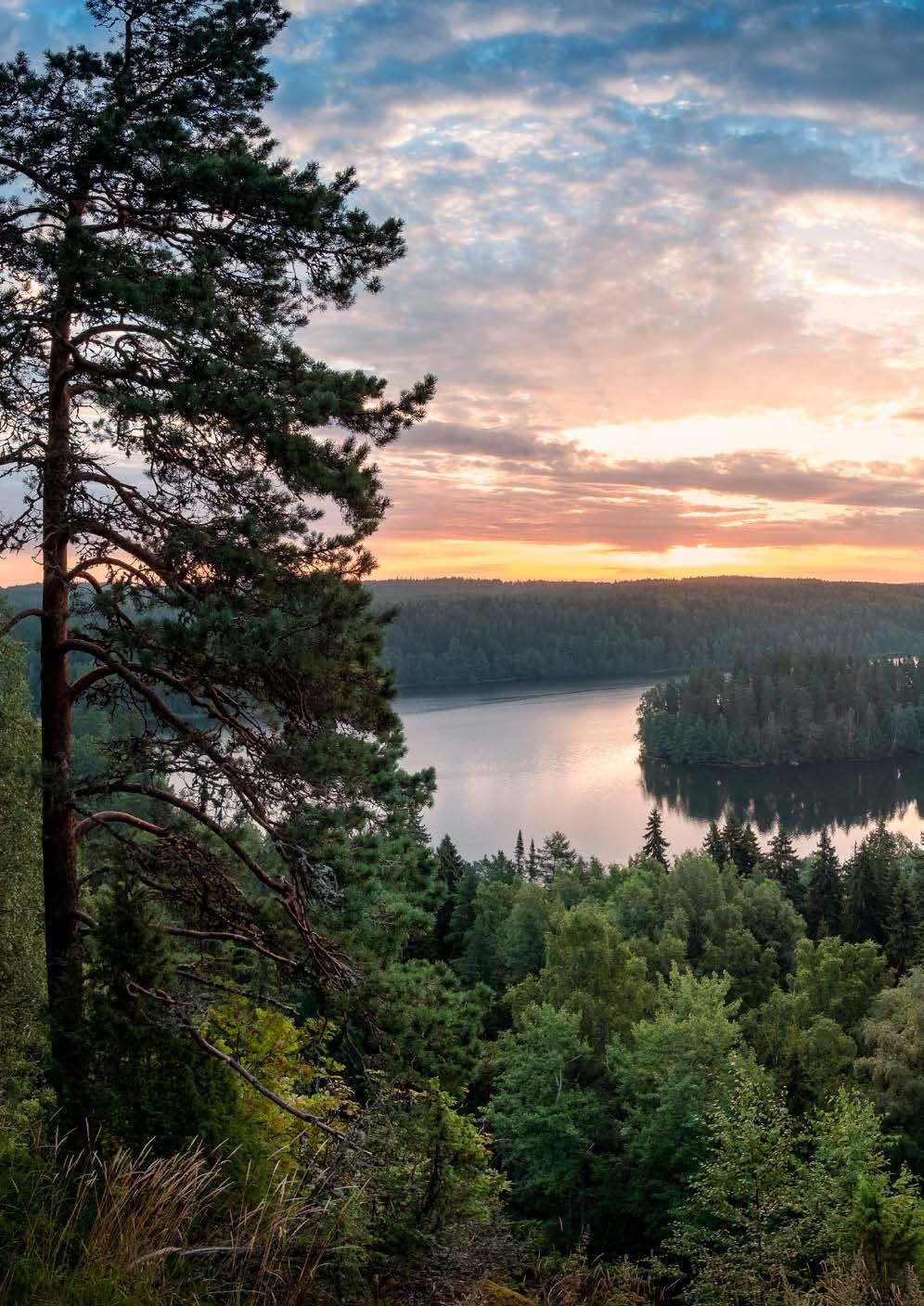 TULEVAISUUDEN NÄKYMÄT Hyvä taloudellinen toiminta takaa vakavaraisen ja elinkelpoisen yrityksen ja siten täyttää osaltaan omistajan odotuksia Merkittävän biolämpökeskus- ja siirtojohtoinvestoinnin