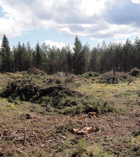 toimitaan tavoilla, jotka ottavat huomioon hakkuualan