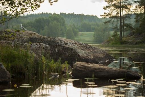 LUMATE / LUONTO TUTUKSI (zlbi) Luonto tutuksi -kurssi on toinen LuMaTe-painotuksen kahdesta valinnaiskurssista. LuMaTeluokalle valitut oppilaat jatkavat aihepiirin opiskelua 8. ja 9.