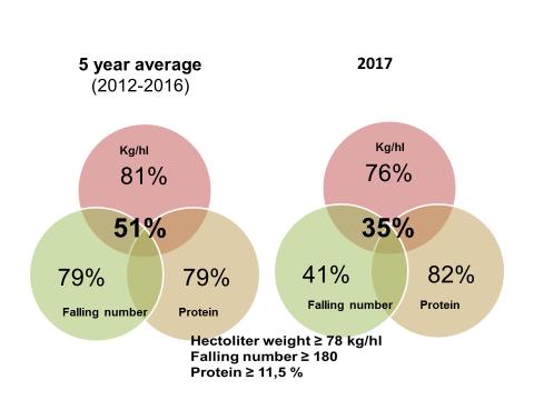 The proportion of spring wheat that fulfils the quality criteria for hectoliter weight, falling number and protein