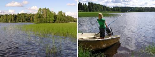 Syyttäminen Virallisen syyttäjän syyteoikeus (VL 16:4 ) Yleisen edun loukkaus ELY-keskus asianosainen Laajavaikutteiset hankkeet Yksityisen edun loukkaus Virkistyskäyttöhaitta Syyteoikeus vain, jos