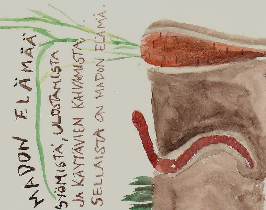 MADON ELÄMÄÄ Kasvimaata perustettaessa ja hoidettaessa tulee varmasti vastaan matoja. Madot ovat puutarhurin parhaita ystäviä.