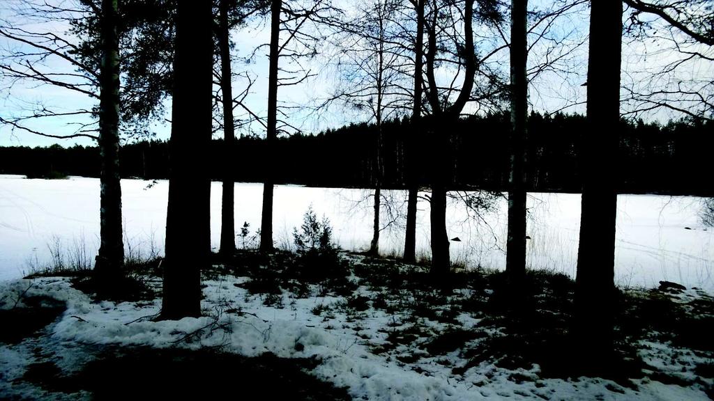 kunnon laituri, avanto talveksi - n 10-15t