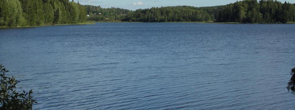 Tämä saattoi Pitkäjärvelläkin näkyä myös ehkä tavallista suurempana rehevyytenä, mm levätuotantona ja makrokasvien leviämisenä rannoilla, mikäli