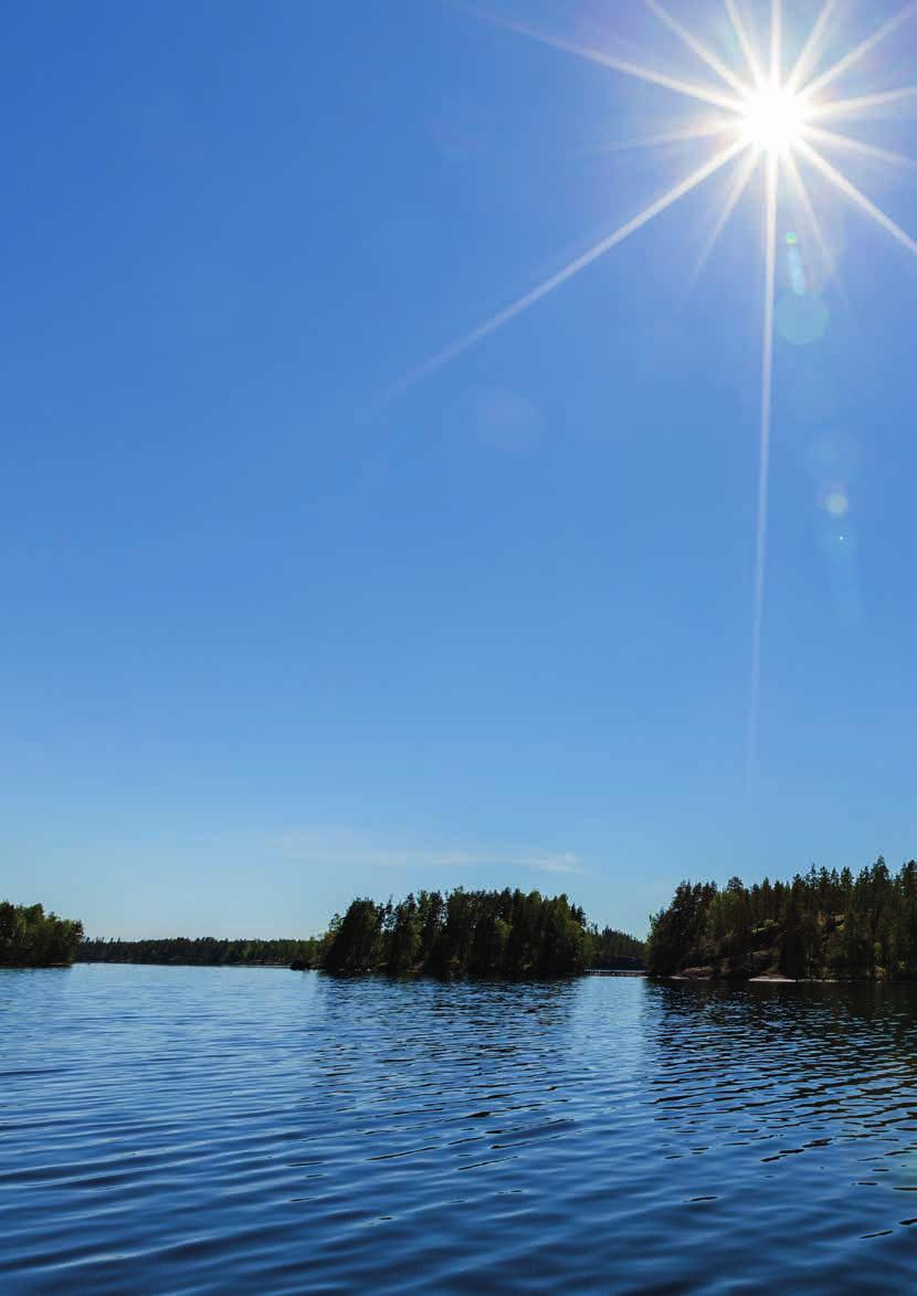 Pidä Saaristo Siistinä ry Puolalankatu 1 20100 Turku p. 02 274 5500 roope@pssry.