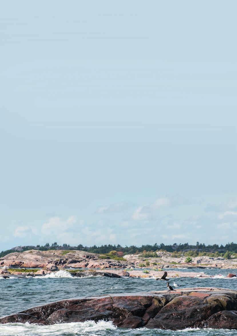 Pidä Saaristo Siistinä ry lyhyesti Pidä Saaristo Siistinä ry (PSS ry) on valtakunnallinen vuonna 1969 perustettu veneilijöiden ja vesilläliikkujien ympäristöjärjestö.