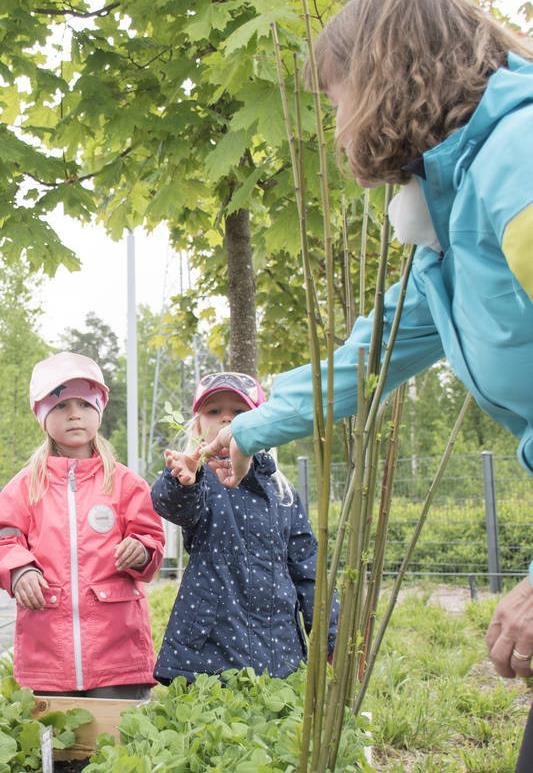 Työvoimavajetta mm. päivähoidossa Kaupungilla on haasteita rekrytoida työntekijöitä seuraaville aloille: Ruotsinkielinen päivähoito, opetus ja erityisopetus.