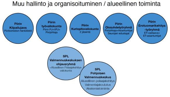 Organisaatiokaavio
