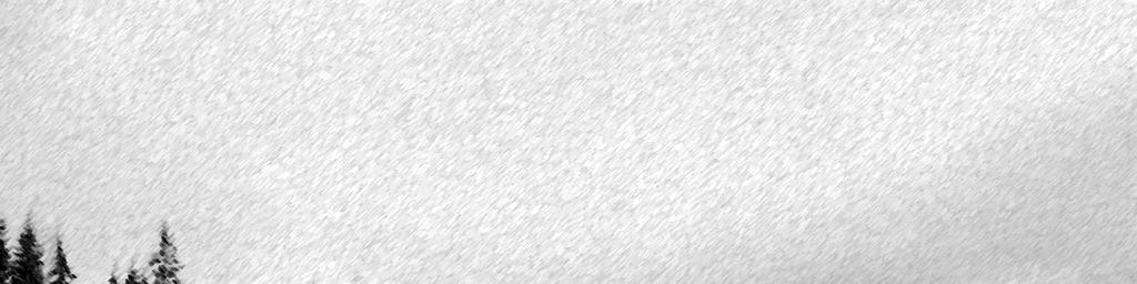 TYÖN. 10248