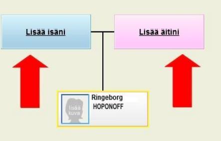 Sukupuun rakentaminen Kun olet muokannut asetukset, voit aloittaa