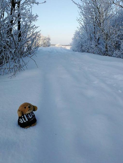 TIEDOTUKSET JA TAPAHTUMAT 15.2.2018 Löydä Luovon Luppis! talvisuunnistus 2018 Luovon Luppis on jälleen karkuteillä. Tunnistatko paikan?