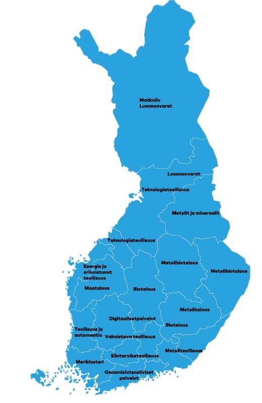 Ekosysteemit ovat usein ylimaakunnallisia ja kansainvälisiä /yhteistyötä tarvitaan useaan suuntaan yritysten kasvupalvelut avittajina esimerkinomaisesti Luonnonvarat: Lappi, Pohjois-Pohjanmaa, Kainuu