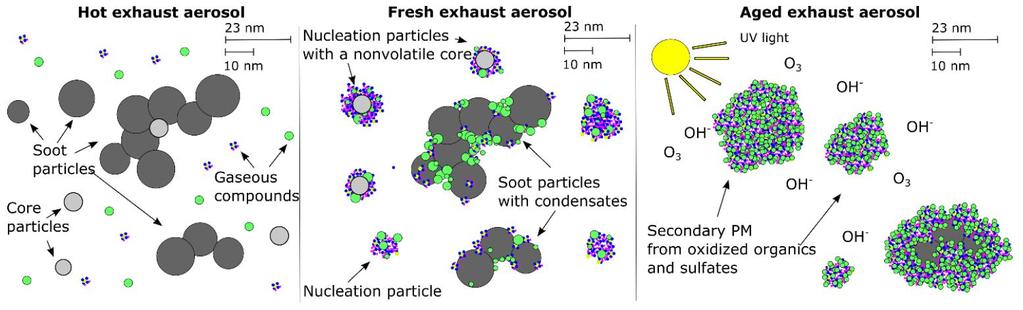Exhaust aerosol In hot exhaust Time scale Directly after emission to the atmosphere After oxidation