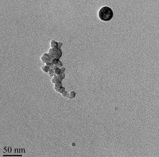 Primary particles from