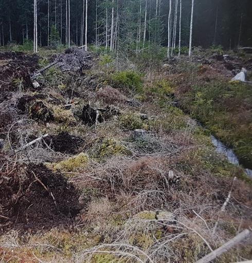 Vesiensuojelu maanmuokkauksessa Riittävän tehokas, mutta mahdollisimman vähän maanpintaa rikkova menetelmä Ota huomioon menetelmän valinnassa Maalaji Maapinnan muodot Vesitalouden järjestelytarve