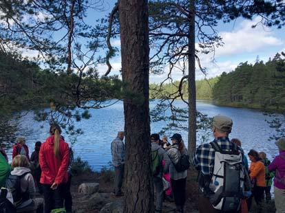 luonnonsuojelualueella