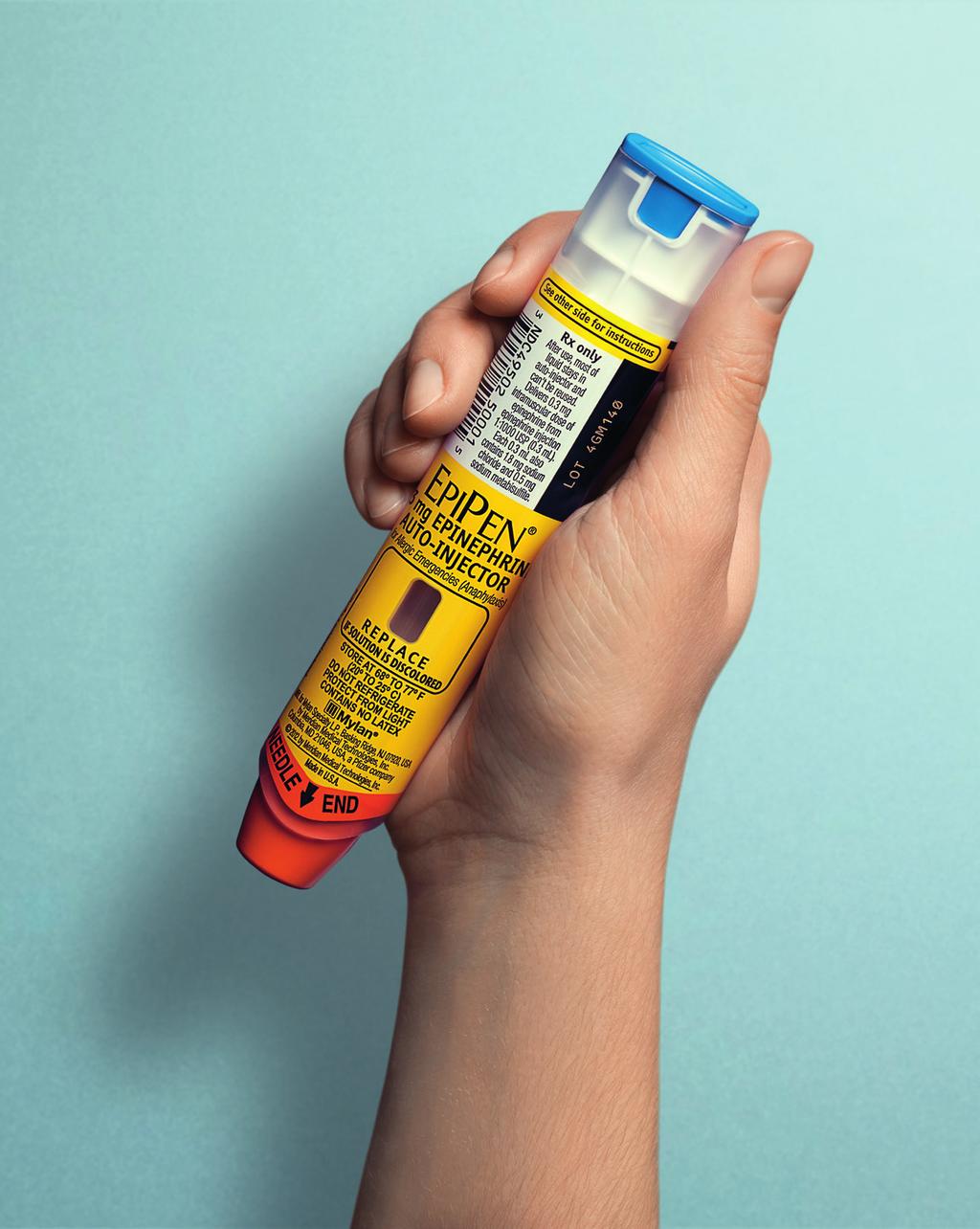 EPIPEN AUTOINJEKTORIN KÄYTTÖOHJE - PDF Ilmainen lataus