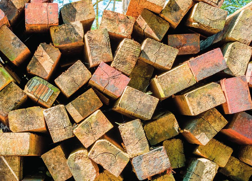 PAINESTETTY PUU Painekyllästetty puutavara sekä vihreä että ruskea, ratapölkyt, puhelinpylväät PAINESTETTY PUU Painekyllästetty puu on vaarallista jätettä ja se on aina pidettävä erillään muusta
