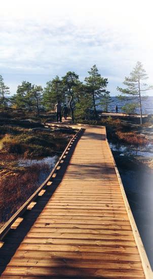 Jäte Yhteiskuntavastuu UPM Pietarsaaren kaatopaikka sijaitsee tehdasalueella. Vuonna 217 kiinteitä jätteitä muodostui 17 61 t. Määrä oli noin 5 t enemmän kuin edellisenä vuonna.