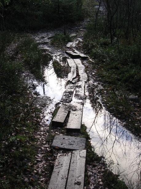 Luontopolusta voi havaita, että se on paljon käytetty. Varsinkin hankalissa paikoissa maasto on kulunut vaihtoehtoisia reittejä etsiessä.