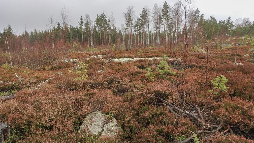 suojelemat kohteet, uhanalaiset luontotyypit sekä muut arvokkaat elinympäristöt.