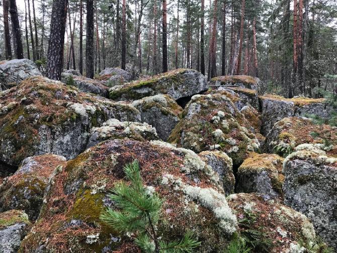 Lounaassa kallion päässä on jäiden sileäksi hiomaa avokalliota, jolle on asettunut kivenjärkäleistä koostuvaa ja vaikuttavaa pirunpeltoa.