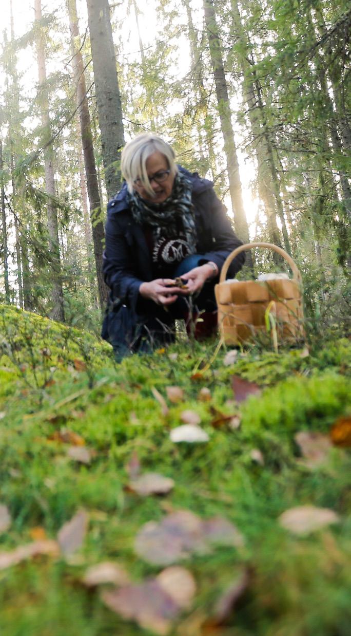 voidellun piirakkavuoan (halkaisija noin 28 cm) pohjalle ja reunoille. Hienonna sipulit ja raasta omenat karkeaksi raasteeksi.