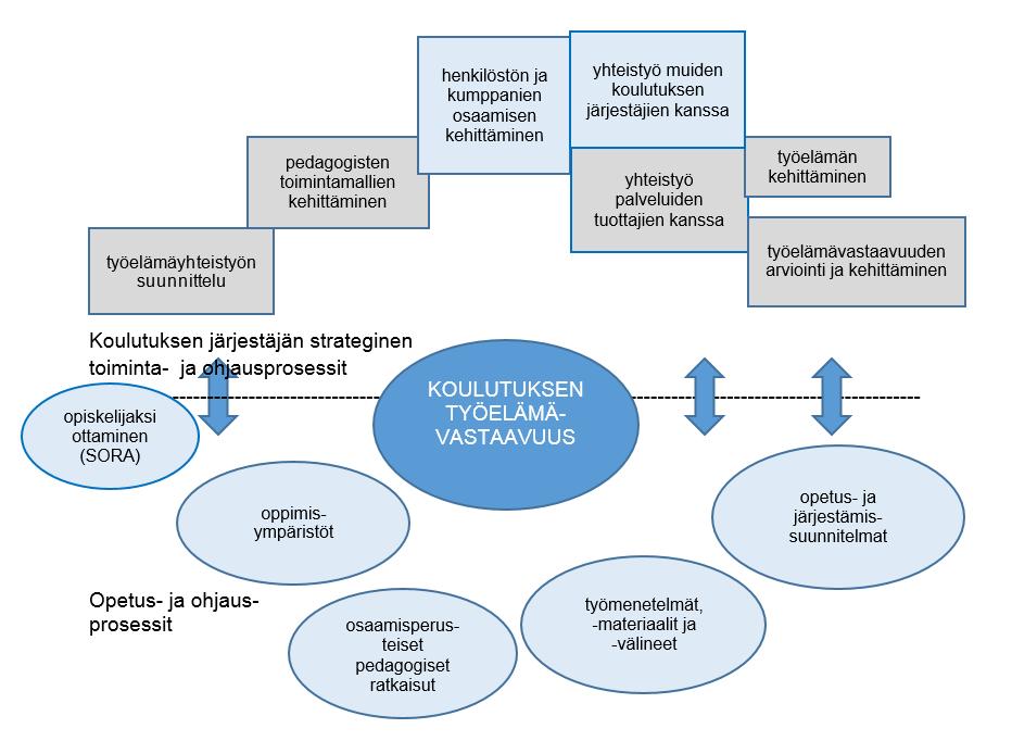 Kuvio 1. Työelämävastaavan koulutuksen osatekijät Koulutuksen järjestäjän tulee määritellä strategisissa suunnitelmissaan työelämän kanssa tehtävä yhteistyö.