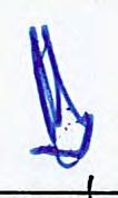 .. ~ ~--------==- ~ -----'-~-~-+----''--------==---------- N~ JA ',A-M EN, _: