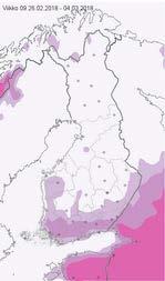 PALELTUMARISKI Paleltumariski-tuotteessa arvioidaan todennäköisyyttä, että ennusteviikon aikana