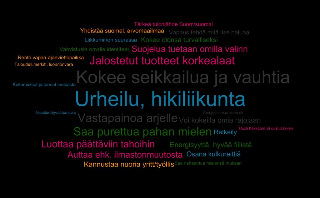 Tunnetyyppi: Energinen seikkailija