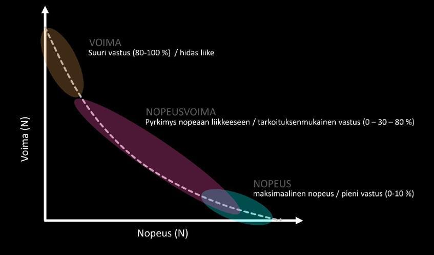 Isolehto (kirjassa