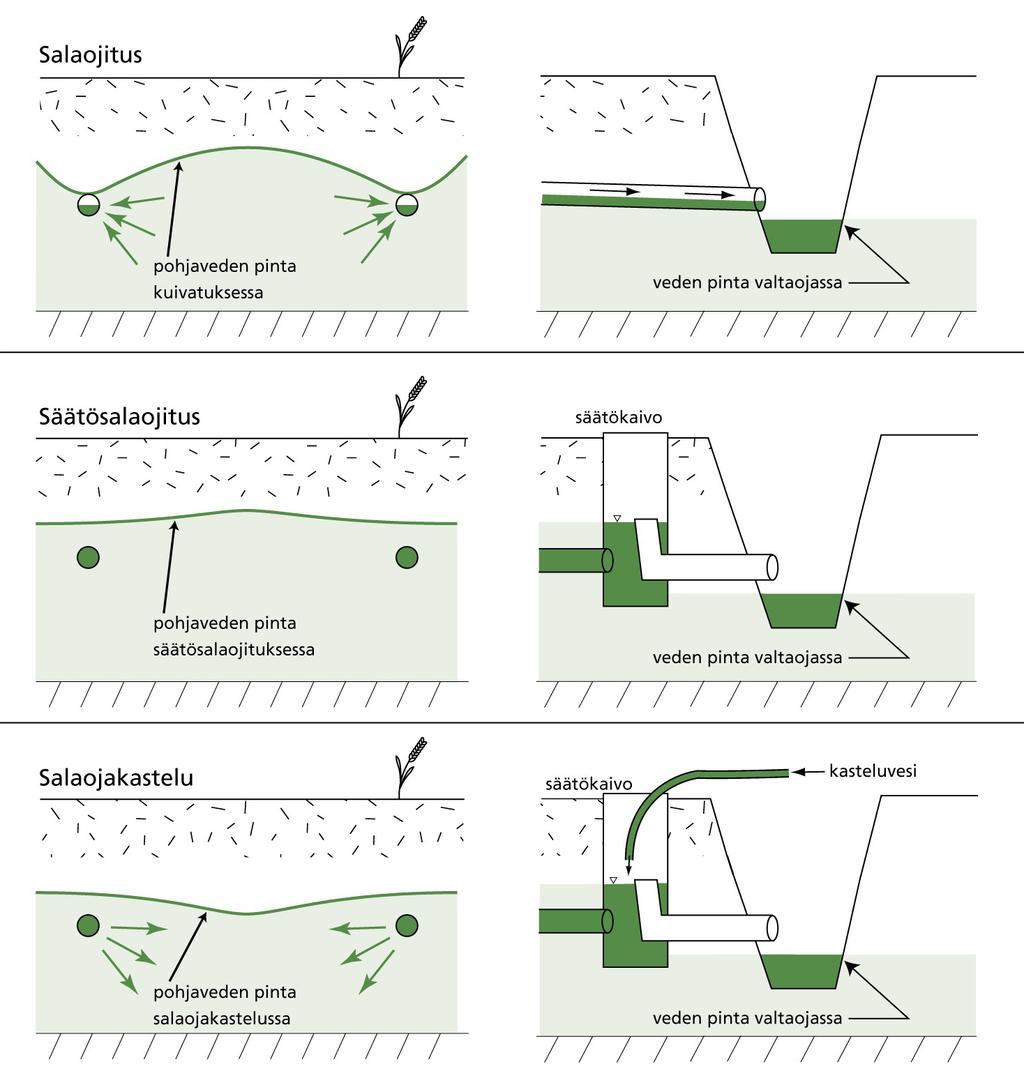 2.2.2 Säätösalaojitus ja altakastelu Säätösalaojituksen ja altakastelun tavoitteena on padottamalla ja lisävettä johtamalla luoda kasveille optimaaliset kosteusolosuhteet, mikä antaa entistä paremmat