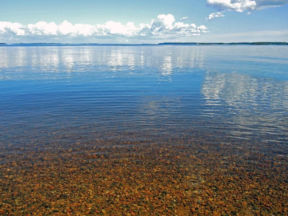 noudattaminen sekä riittävä valvonta metsätaloustoimien harkittu suunnittelu sekä metsä- ja pelto-ojitusten tarveharkinta maa- ja metsätaloudessa neuvonnan ja koulutuksen