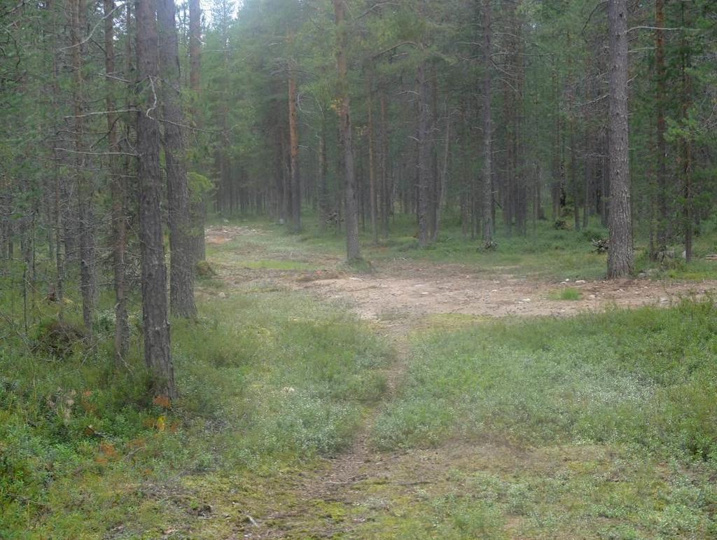 Vesillä liikkuvien maihinnousumahdollisuudet eivät muutu. Vapaan rantaviivan osuus ei muutoksen johdosta pienene.