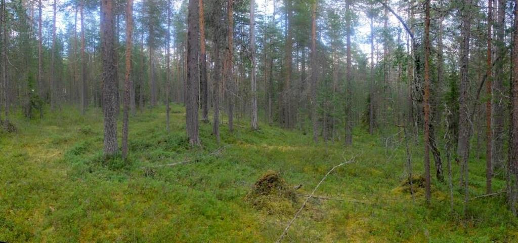 Alue on Rukan matkailukeskuksen välittömässä läheisyydessä ja latu-, moottorikelkka- yms.