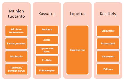 Hyönteisten kasvatusprosessit Lähde: