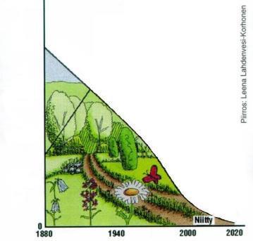 Perinnebiotoopit Perinnebiotoopit erittäin arvokkaita elinympäristöjä Metsälaitumet ja hakamaat (puustoisia) Niityt ja kedot (avoimia) Perinnemaisema = perinnebiotooppi + rakennettu ympäristö