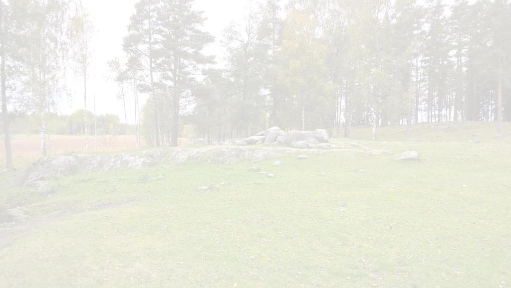 Naturat -Hoidon kannalta omat mahdolliset rajoituksensa (hakkuut, raivaukset ) -Maatalousalueiden normaalit viljelytoimet tai laiduntaminen ovat kuitenkin useimmiten sallittuja Naturalla, kunhan