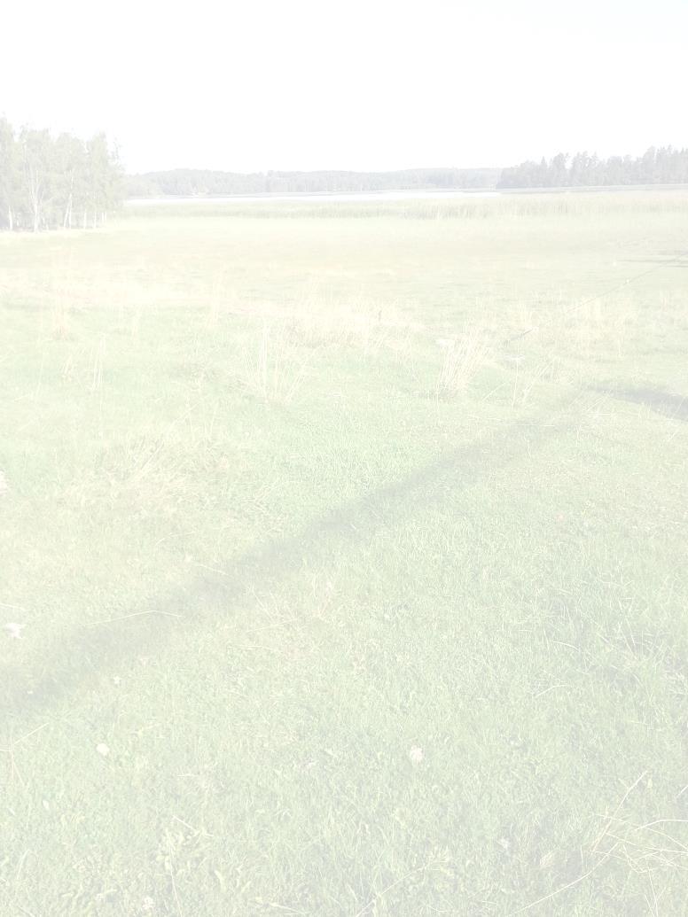 Ennen tukihakua posti ja sähköposti kulkee Hakuvuonna päättyvät: Saatekirje Hakulomakkeet Materiaalipaketti Yhdistykset: Toimintaohjeet maksatuksen hakemiseksi Tarvittavat lomakkeet (101B, 102B) Elyn