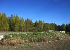 palveluissa kuten ravinteiden kierrossa, paikallisessa veden säätelyssä ja