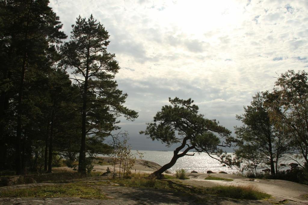 Mutta surun sisar on lohdutus ja ilo itää kivun kämmenellä. Ei minulla sinulle viisaita sanoja otan kädestä: ollaan yhdessä hiljaa. Kuunnellaan.