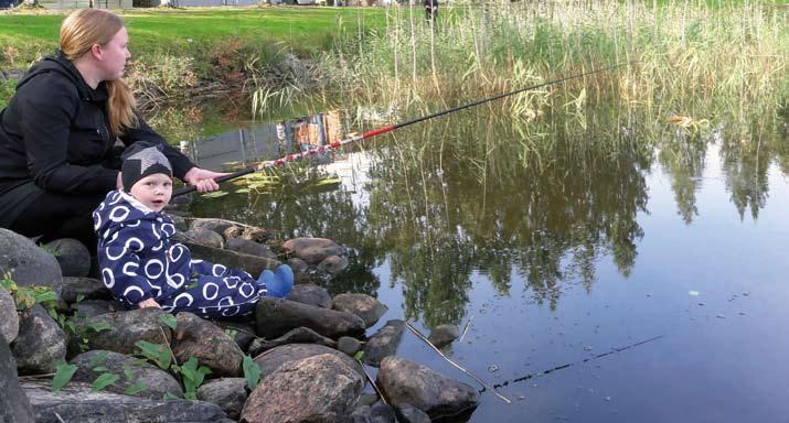 perheitä veden äärelle.