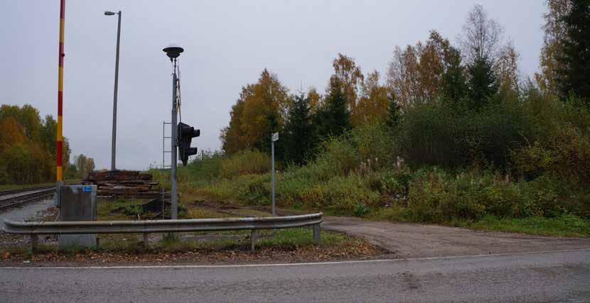 Toimenpiteitä Maisemaraivauksen suunnittelu: 1. Mitä tehdään? Katso kauempaa, mitkä alueet aukotetaan ja mihin jätetään tiheiköt.